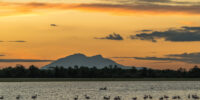 Amboseli Sunset