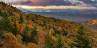 Blue Ridge Autumn