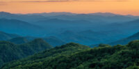 Blue Ridge Mountain Gold