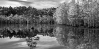 Georgia Millpond Afternoon Black and White