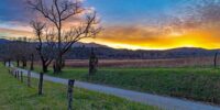 Hyatt Lane Sunset - Smokies