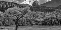 Indian Creek Canyon Utah - Black and White