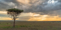 Maasai Mara Sunset Kenya