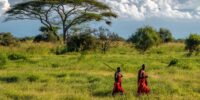 Maasai Through the Grasslands