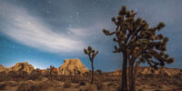 Night Time Walk in Joshua Tree