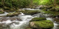 Smoky Mountain Cascades