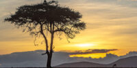 Sunrise Over Maasai Mara - Kenya