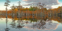 Twin Reflections Mill Pond Georgia