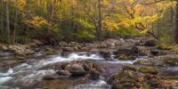 The serene Little River winds through a rocky landscape in the Great Smoky Mountains National Park, bordered by trees showcasing the vibrant colors of autumn. The water flows smoothly over and around the stones, creating a sense of calm and the passage of time.