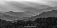 Layers of Blue Ridge Mountains ridges recede into the distance, creating a sense of depth under a soft, filtered light that seems to dance between the valleys. Captured in monochrome, the scene exudes a serene and timeless beauty, with the textures of the trees and the play of light and shadow drawing the eye into the landscape.