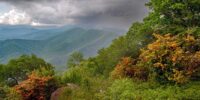 Rolling green hills stretch into the distance under a dramatic sky filled with dark, heavy clouds signaling an impending storm. Flourishes of Flame Azaleas break up the dominance of greenery, adding a vibrant contrast to the scene. Blue Ridge Mountains North Carolina