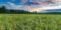 A field of delicate Queen Anne's Lace blankets the ground leading up to a mountain range under a vast sky with dynamic cloud formations. As the sun sets, the clouds are tinged with hues of orange, and the scene conveys a sense of serene rural beauty. Cades Cove, Great Smoky Mountains National Park.