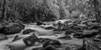 Oconaluftee Flow - Monochrome