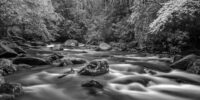 A serene black and white photograph captures the smooth flow of the Oconaluftee River over a rocky bed, surrounded by a dense forest. A long exposure technique is used to create a misty effect on the water's surface, enhancing the tranquil ambiance of the scene. Great Smoky Mountains National Park, North Carolina.