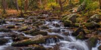 In the Great Smoky Mountains National Park, vibrant autumnal forest surrounds a gently cascading stream filled with rounded boulders. The water flows smoothly over the rocks, giving it a silky appearance amidst the rich colors of changing leaves.