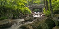 In the Great Smoky Mountains National Park, a smooth, flowing stream meanders through a rocky forest bed under an old stone bridge surrounded by lush green foliage. The long exposure of the water creates a mystical, silky effect on the stream's surface, conveying serenity and the beauty of nature.