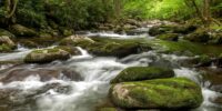 In the Great Smoky Mountains National Park. a serene stream flows over moss-covered rocks amidst a lush green forest. The motion of the water is captured with a sense of movement, suggesting the peaceful sounds of nature.