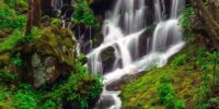 In the Great Smoky Mountains National Park, cascading waterfall flows over moss-covered rocks nestled amid vibrant green vegetation. The surrounding forest adds a sense of tranquility to the dynamic movement of the water.