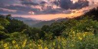 Blue Ridge Golden Hour ??????????????????????????????????????????????????????????????????????????????????????????????????????????????????????????????????????????????????????????????????????????????????????????????????????????????????????
