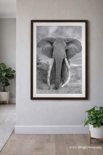 Craig in Bright Hallway