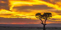Golden Skies at Sunset Kenya Golden Skies at Sunset Kenya