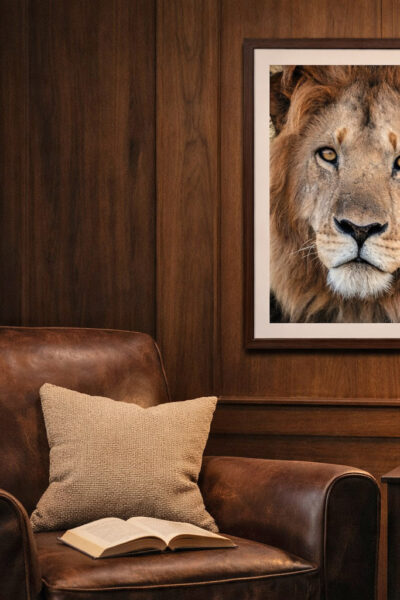 ?????????????????????????????????????????????????????????????????????????????????????????????????