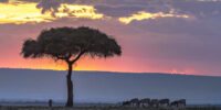 Sunset Maasai Mara Sunset Maasai Mara